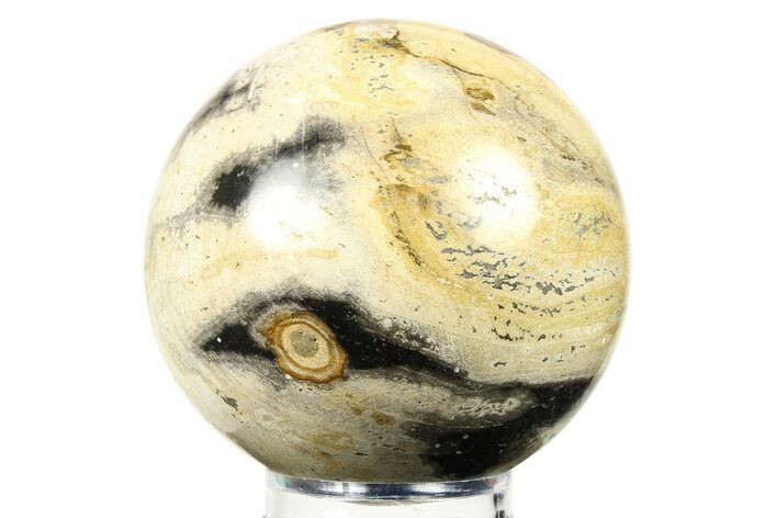 Petrified Wood (Tropical Hardwood) Sphere - Indonesia #274227